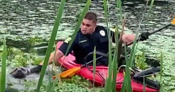 A New Jersey police officer helped a dog to safety that was stuck in a mucky pond.